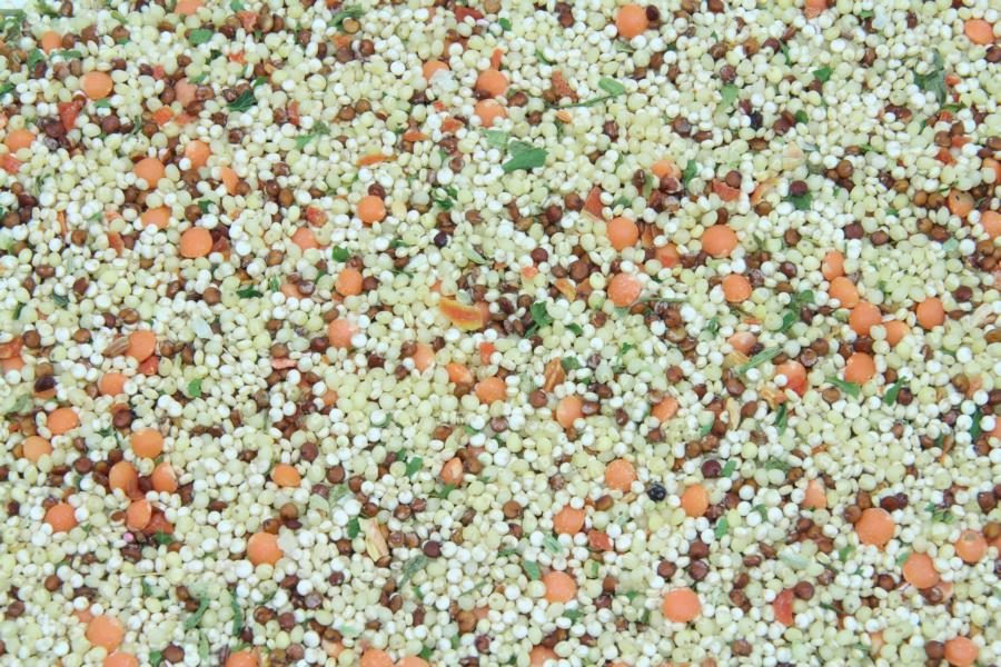 Quinestrone Carrot/Leek bio 5kg