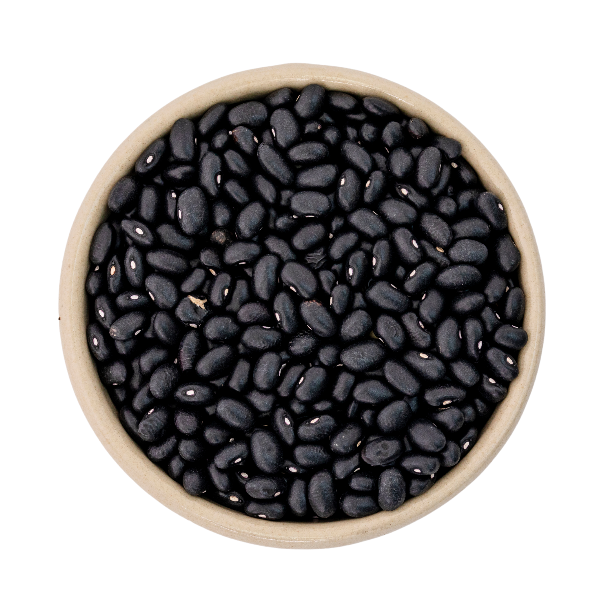 Bohnen schwarz bio (black turtle)