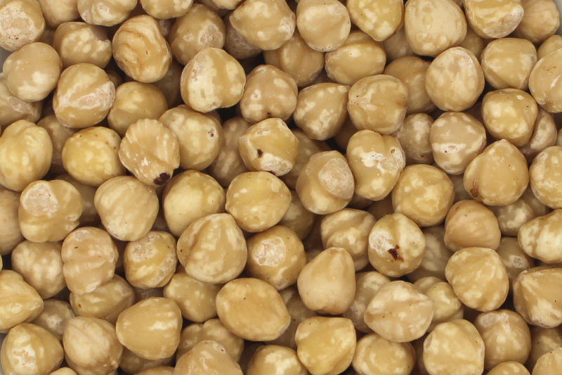 Haselnusskerne blanchiert bio 1kg