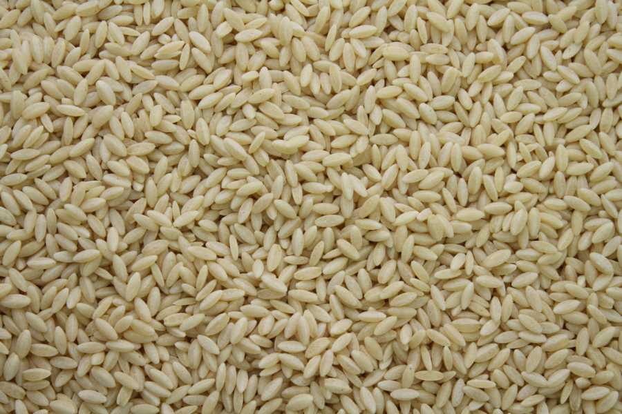 Risoni Nudeln in Reisform bio