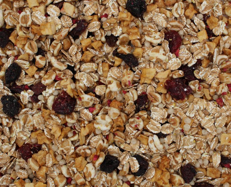 Müsli Dinkel mit Früchten bio 12,5kg