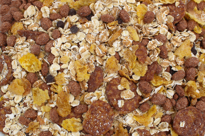 Müsli Schoko bio 12,5kg