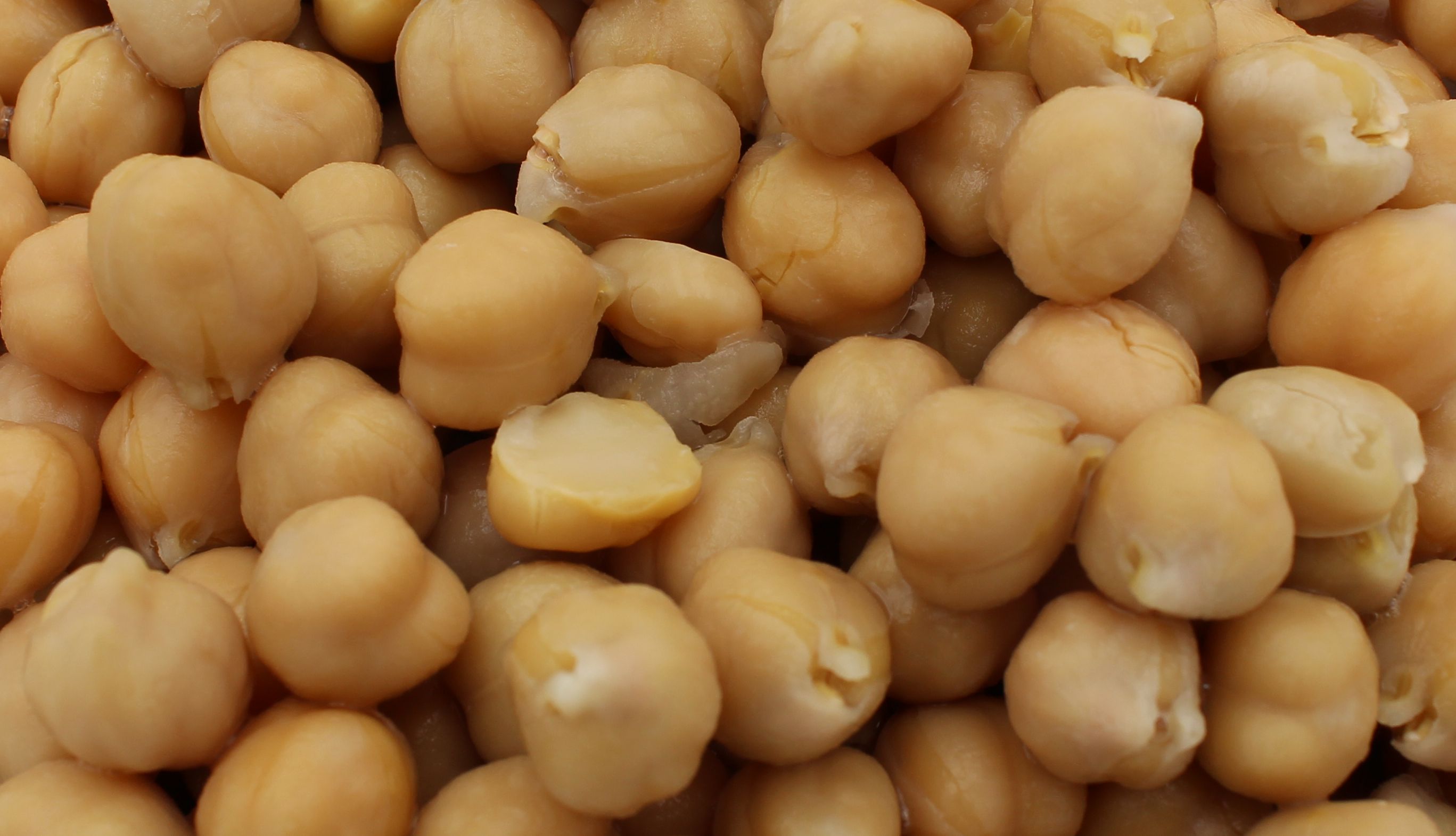 Kichererbsen bio Marschland Füllmenge: 2,9kg, ATG 2kg