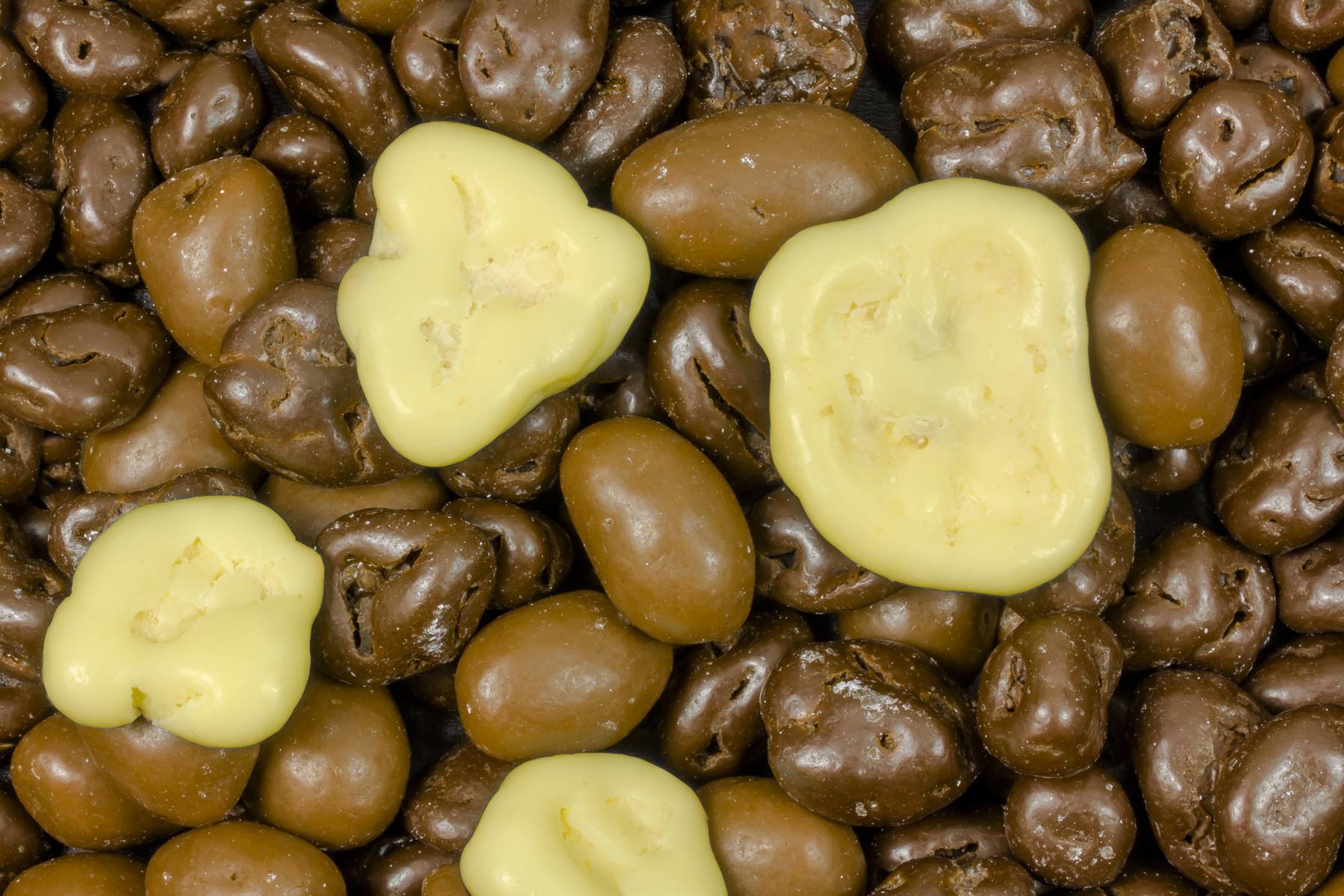 Nuss-Frucht-Mischung schokoliert bio 10kg