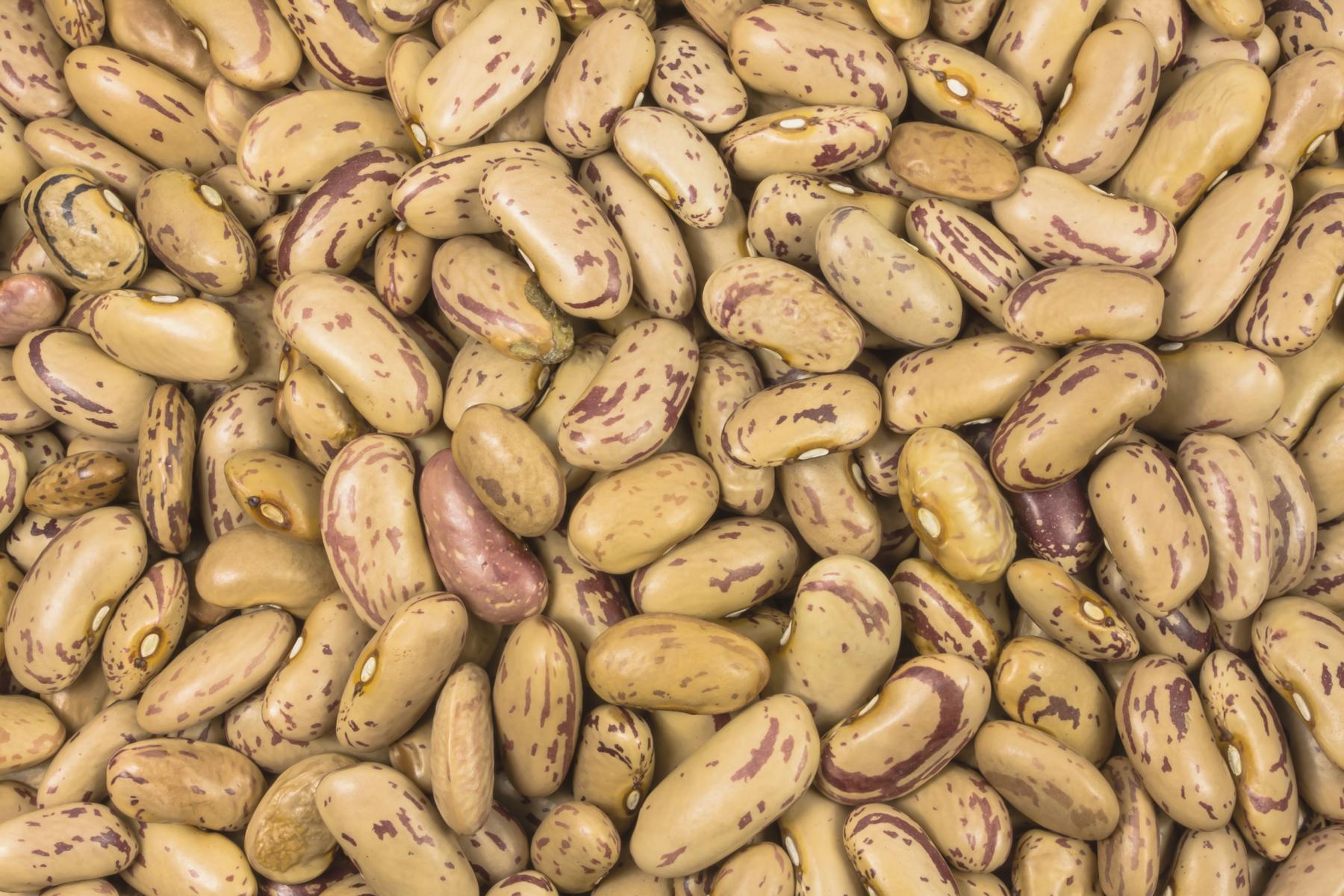 Pintobohnen (Borlotti) bio 5kg