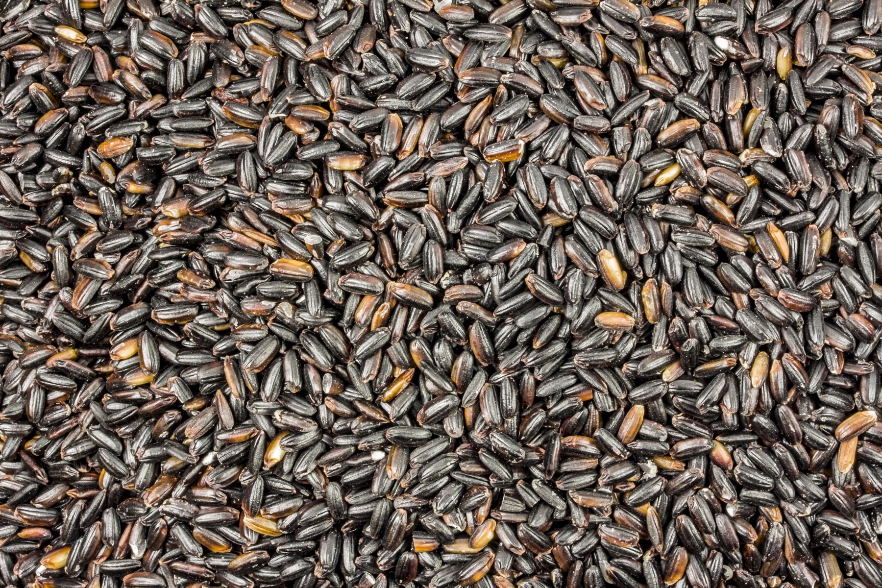 Langkornreis schwarz bio