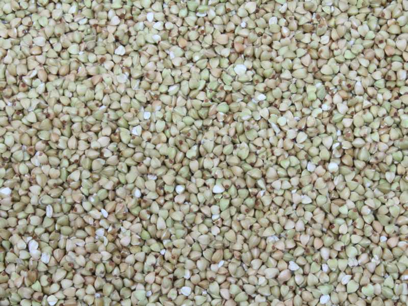 Buchweizen geschält bio Europa