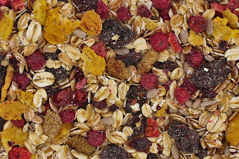 Berries Bio Muesli