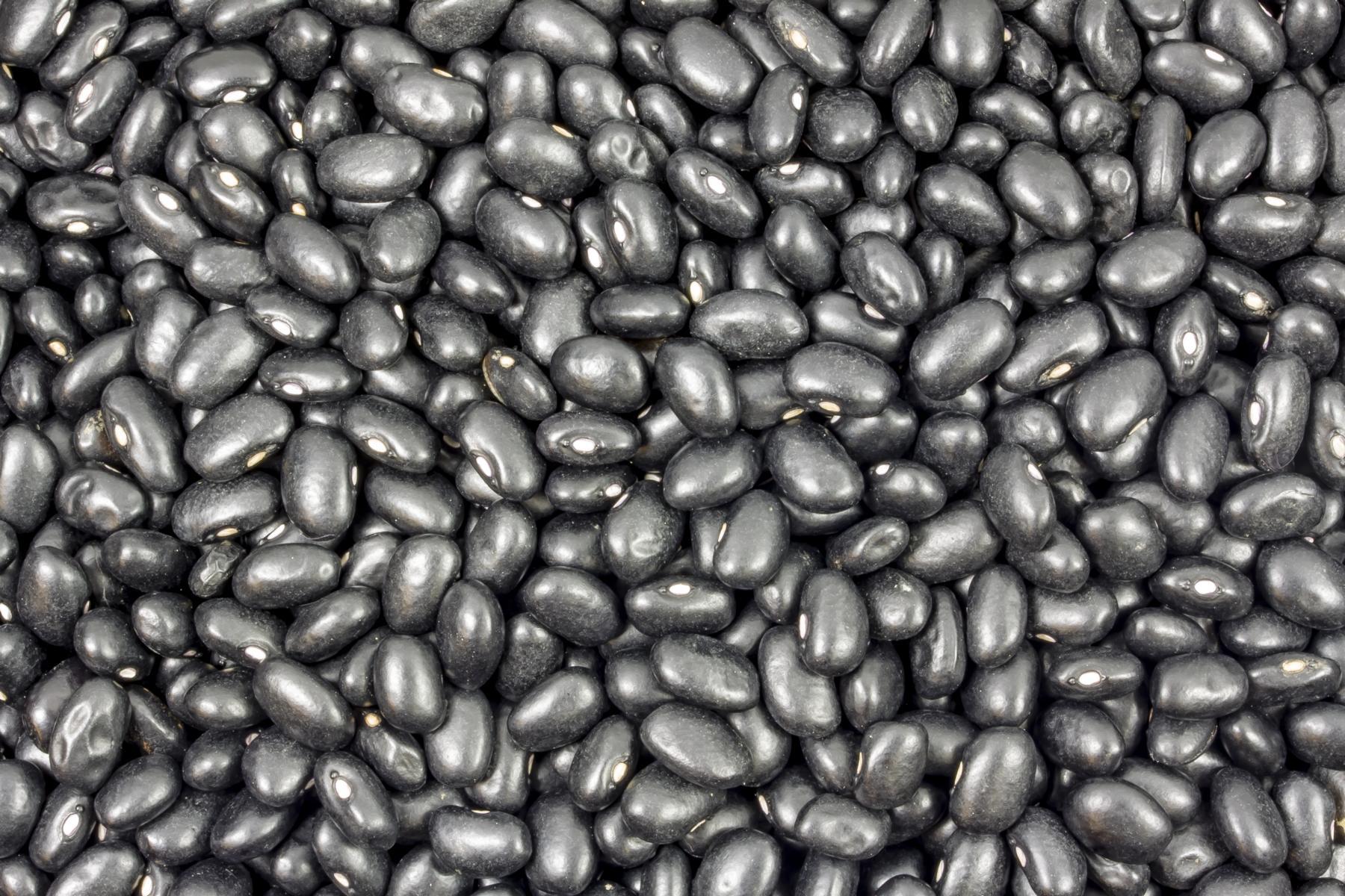 Bohnen schwarz bio (black turtle) gartenkompostierbarer Beutel 6x500g