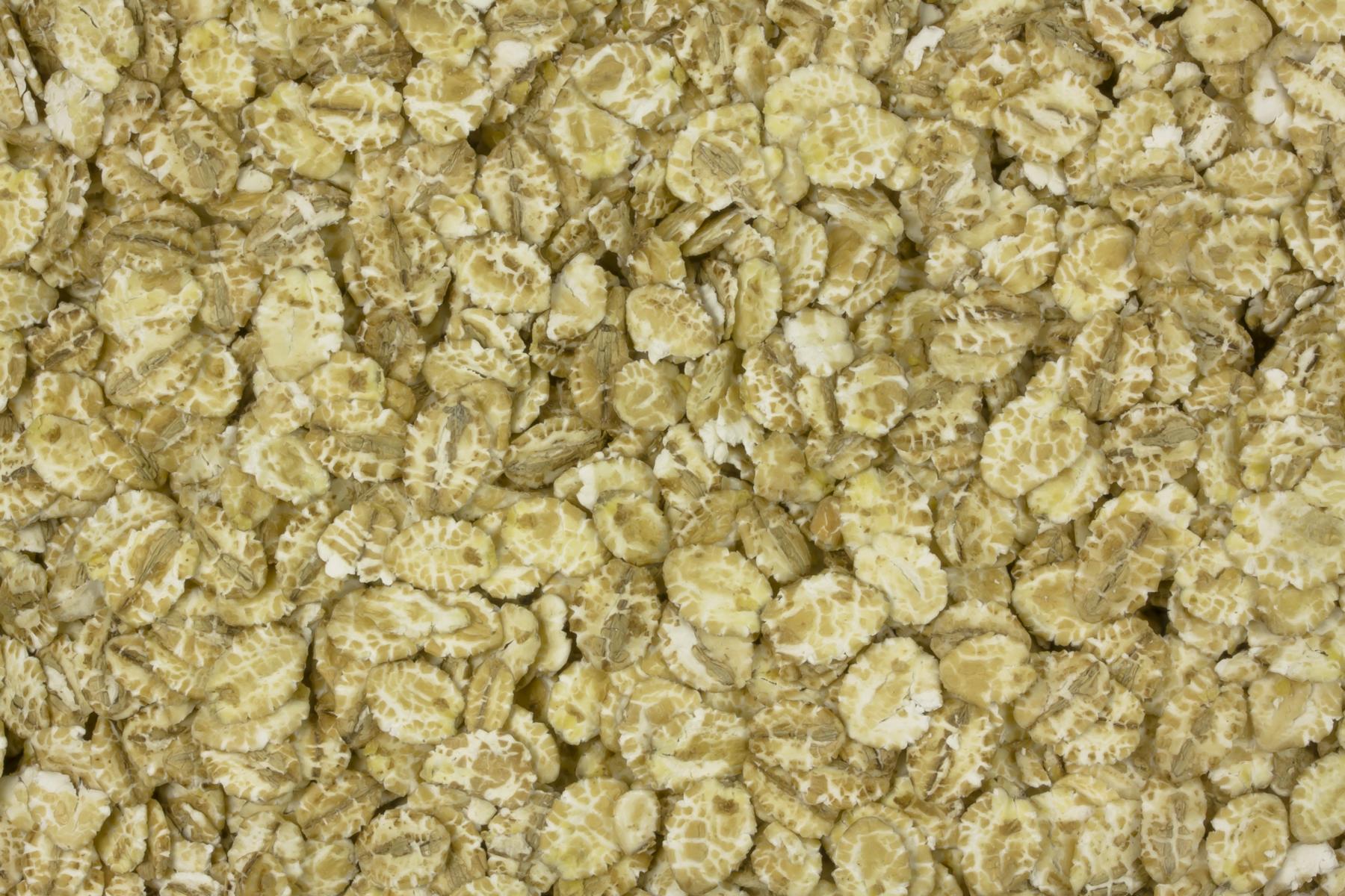 Gerstenflocken bio