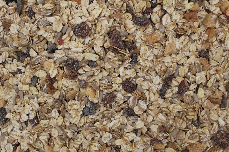 Müsli Früchte bio 12,5kg