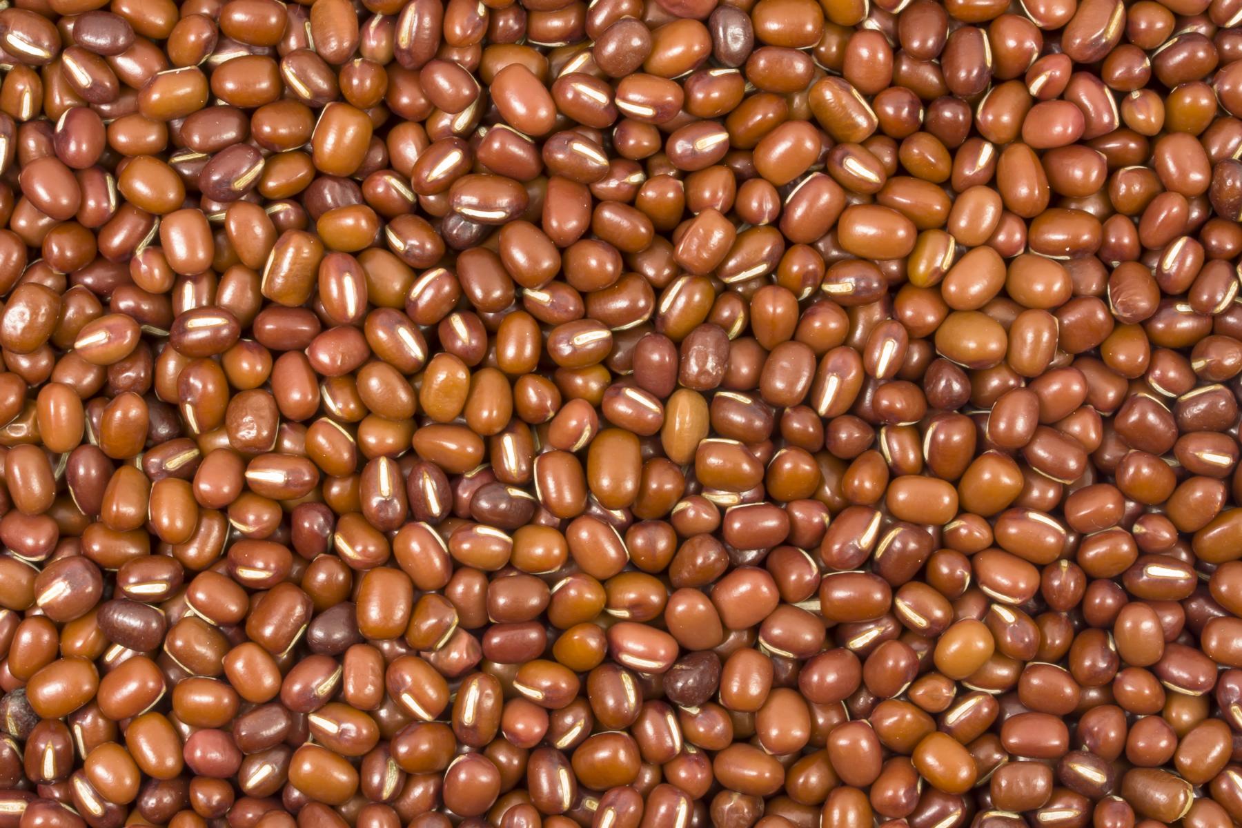 Azukibohnen bio