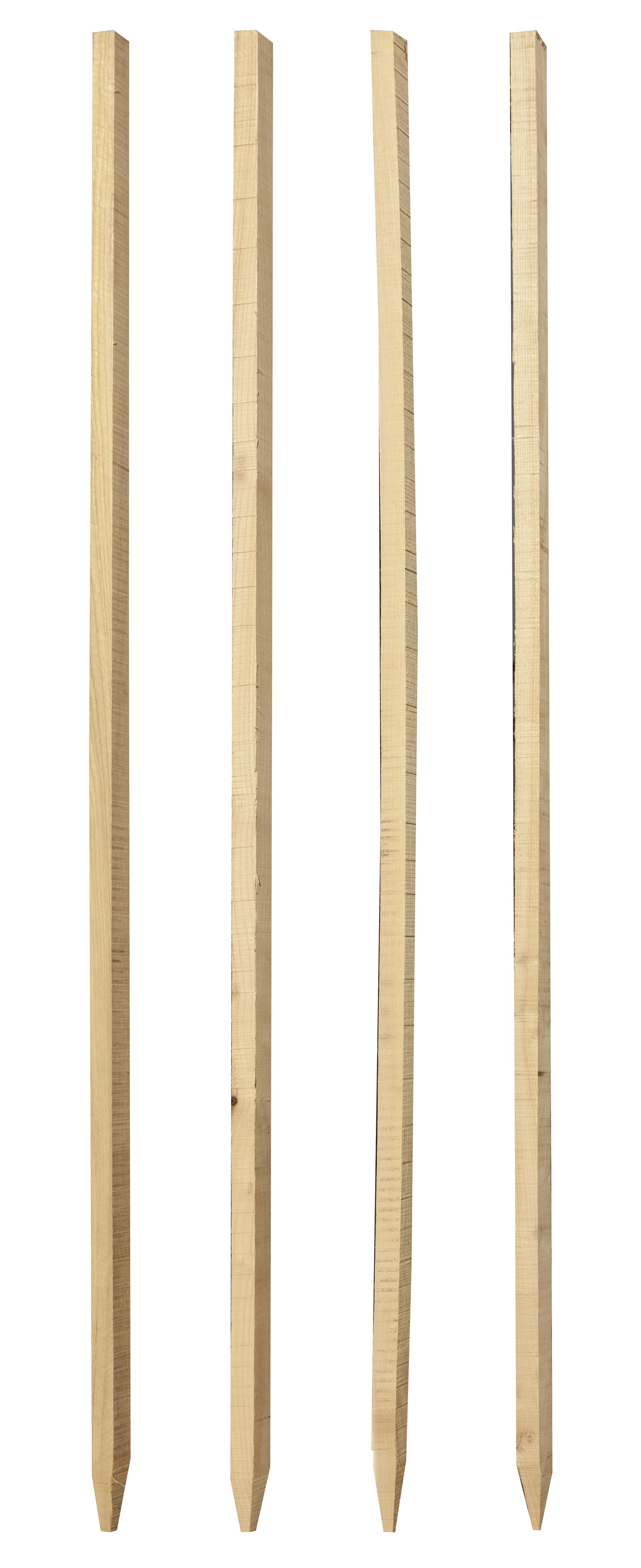Pflanzstab 2,5x2,5x100 cm Robinie a 20 Stück 