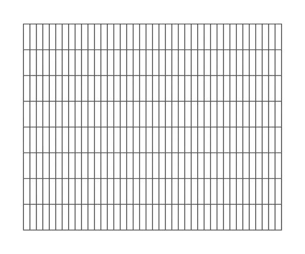 Doppelstab-Gittermatte 200x160 cm Typ 6/5/6 anthrazit