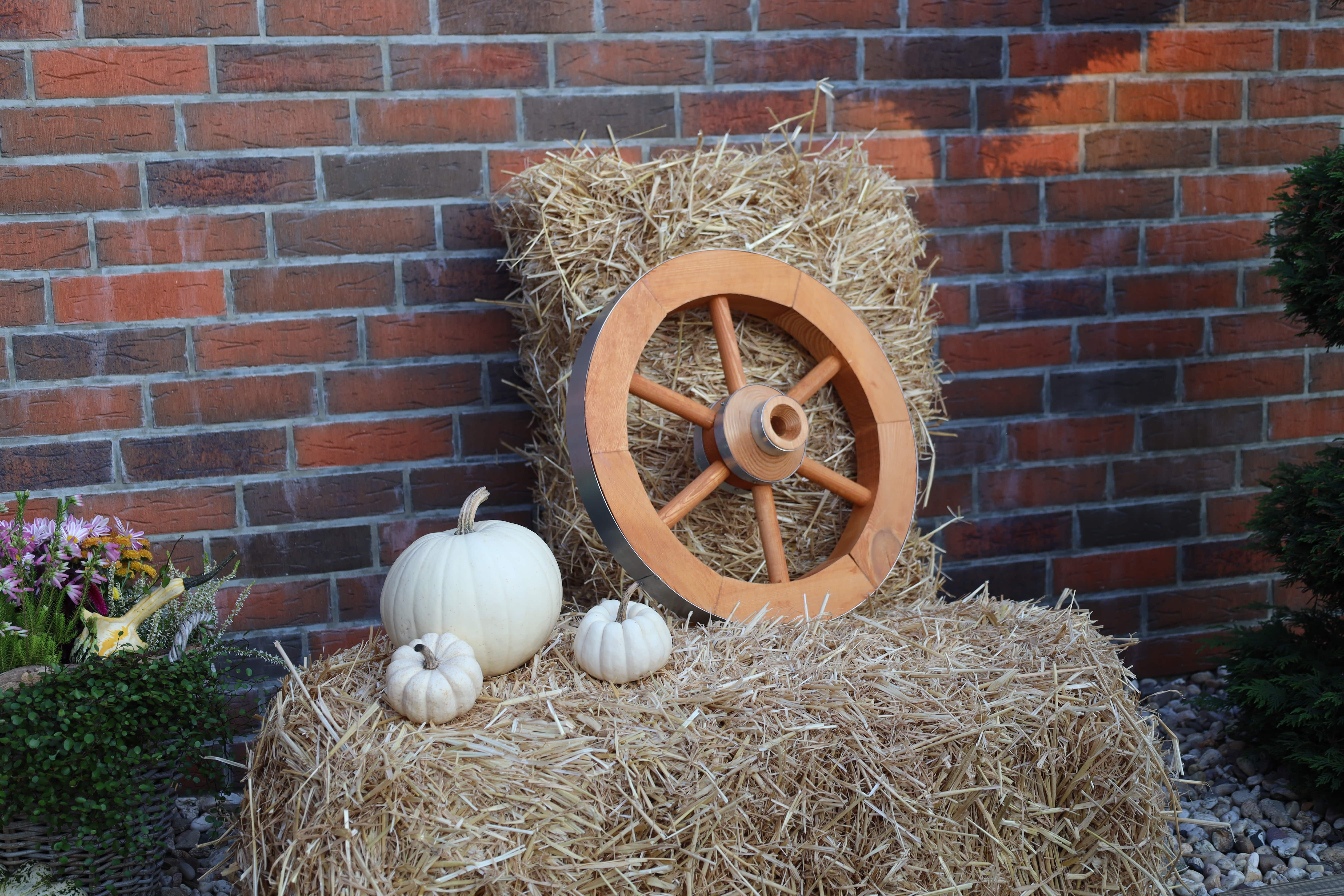 Wagenrad Ø 50 cm Kiefer honigbraun