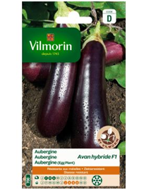 Vilmorin Aubergine zaden Avan Hf1 0,4g