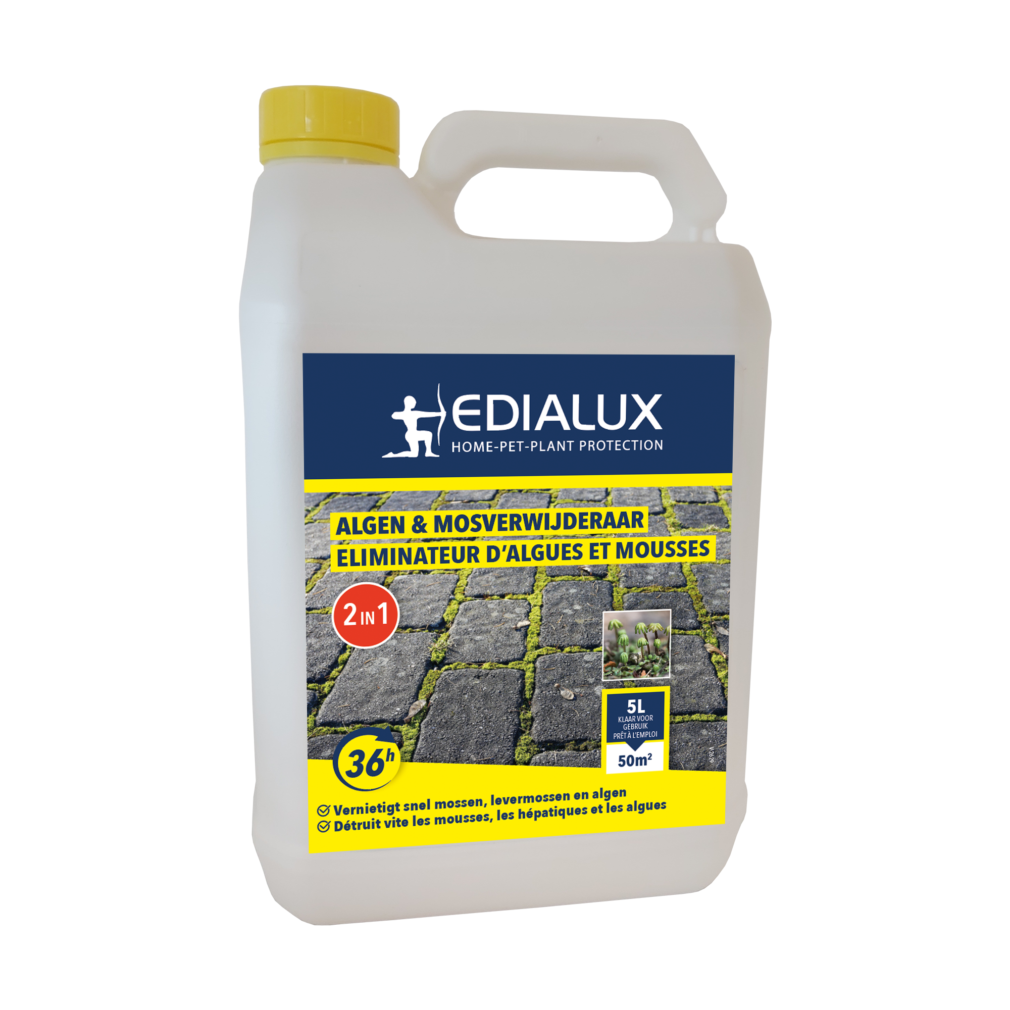 Edialux Algen & Mosverwijderaar 5L: Effectieve 2-in-1 oplossing tegen algen en mos op terrassen, paden en andere oppervlakken.
