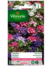 Bloemzaden Verbena Brio gemengd 0,5g