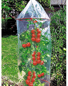 Tomatenhoes voor betere groei