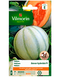 Vilmorin Meloen zaden Savor F1 0,7g