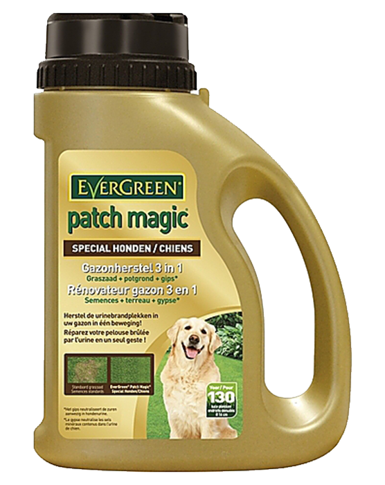 Graszaden Evergreen Patch Magic special honden 1,3kg