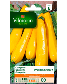 Vilmorin Courgette zaden Gele Orelia F1 2g