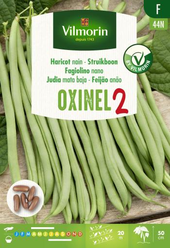 Kweek heerlijke, malse sperziebonen met Vilmorin Oxinel 2 zaden, ideaal voor de moestuin.