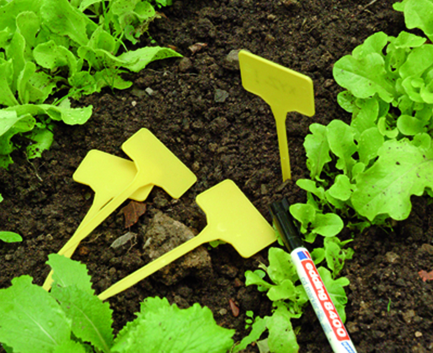 Gele markeerstiften en witte plaatetiketten in de moestuin, klaar om te worden beschreven en bij de zaailingen geplaatst.