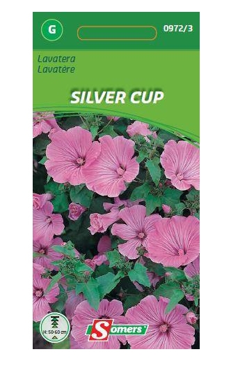 Bloemzaden Lavatera Silver Cup