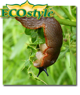 Ecostyle Aaltjes tegen slakken 80m²
