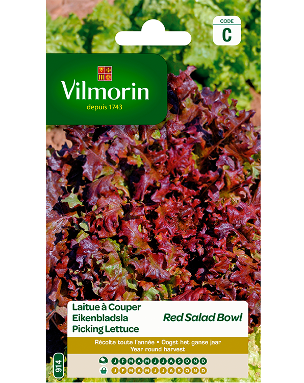 Vilmorin Eikenbladsla zaden Rode Salad Bowl 4g