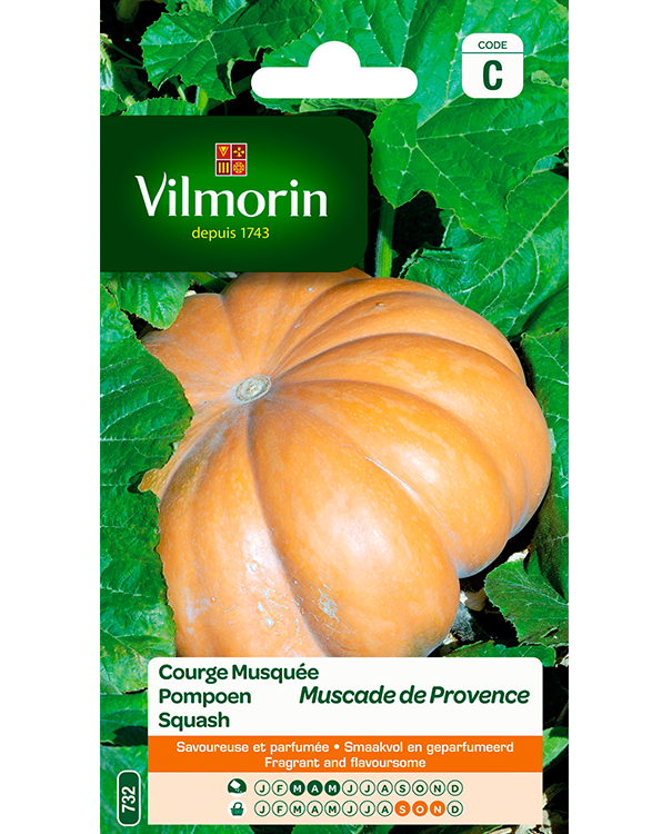Vilmorin Pompoen zaden Muscade de Provence 2g
