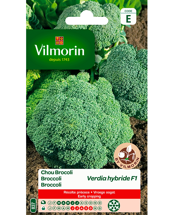 Vilmorin Zaden Broccoli Verdia HF1 0,5g