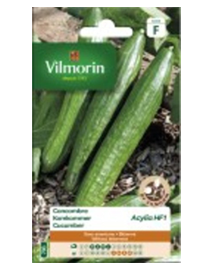 Vilmorin Komkommer zaden voor serre Acylia 0,6g