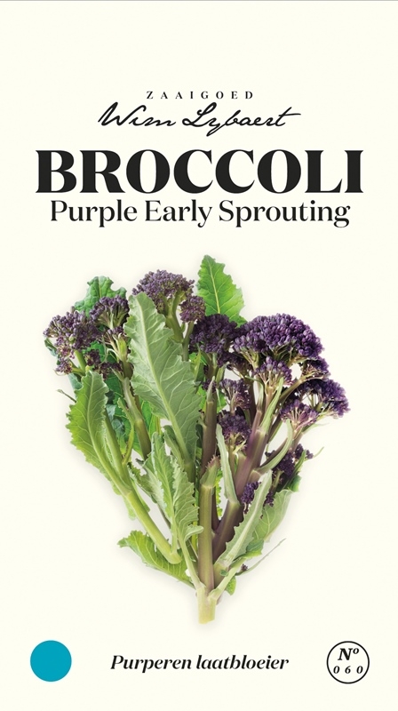 Broccoli zaden Purple Early Sprouting van Wim Lybaert - Kweek je eigen paarse broccoli voor een kleurrijke en gezonde winteroogst.