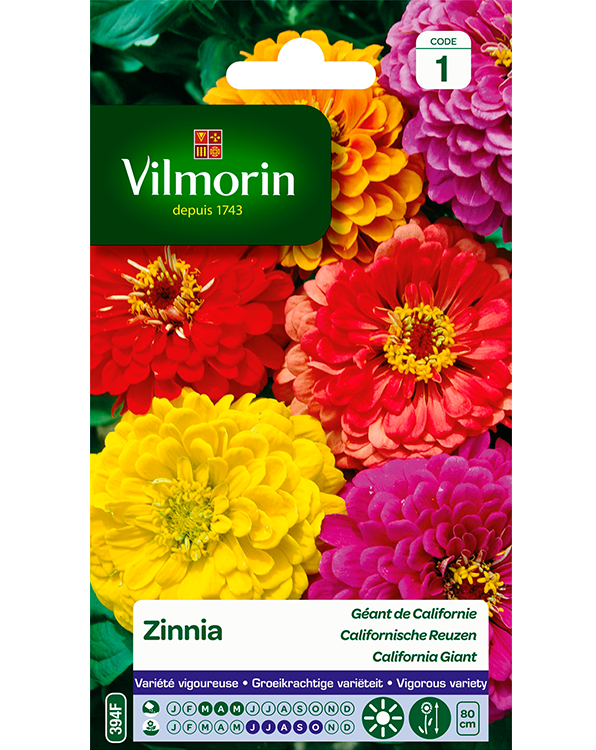 Bloemzaden Zinnia Californische Reuzen 2g