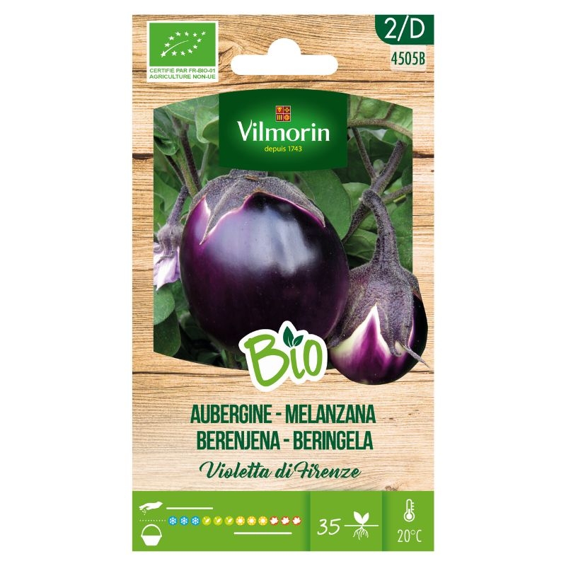 Biologische aubergine zaden 'Violetta di Firenze' van Vilmorin, produceren grote, ronde vruchten met zacht vruchtvlees.