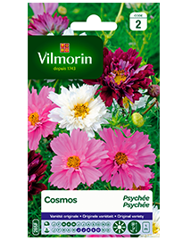 Bloemzaden Cosmos Psychée gemengd 1,5g