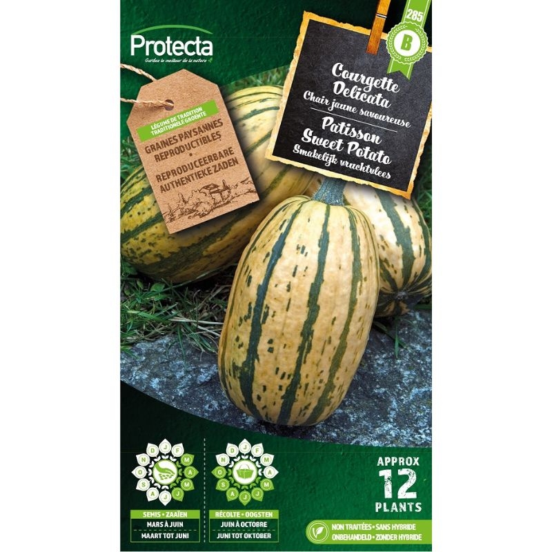 Zaadvaste patisson zaden 'Sweet Potato' van Protecta. Deze oude variëteit produceert grote, crèmekleurige vruchten met een stevig, geeloranje vruchtvlees.