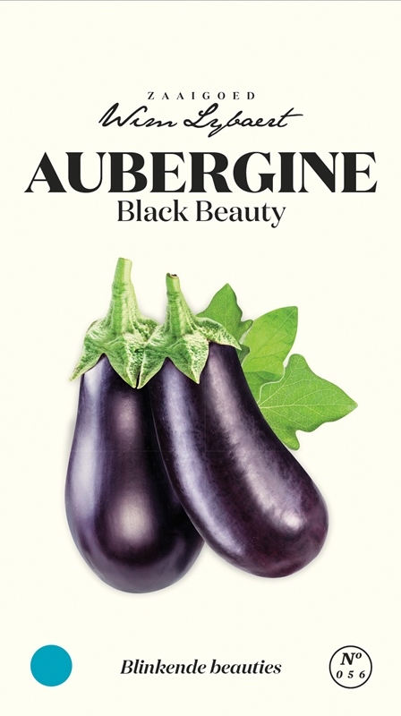 Aubergine zaden Black Beauty van Wim Lybaert. Kweek je eigen smaakvolle aubergines voor ratatouille, pasta en meer.