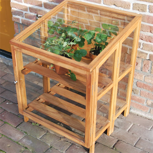 Een compacte hardhouten kweekkas met glazen wanden en een deur, met twee niveaus voor het plaatsen van planten.