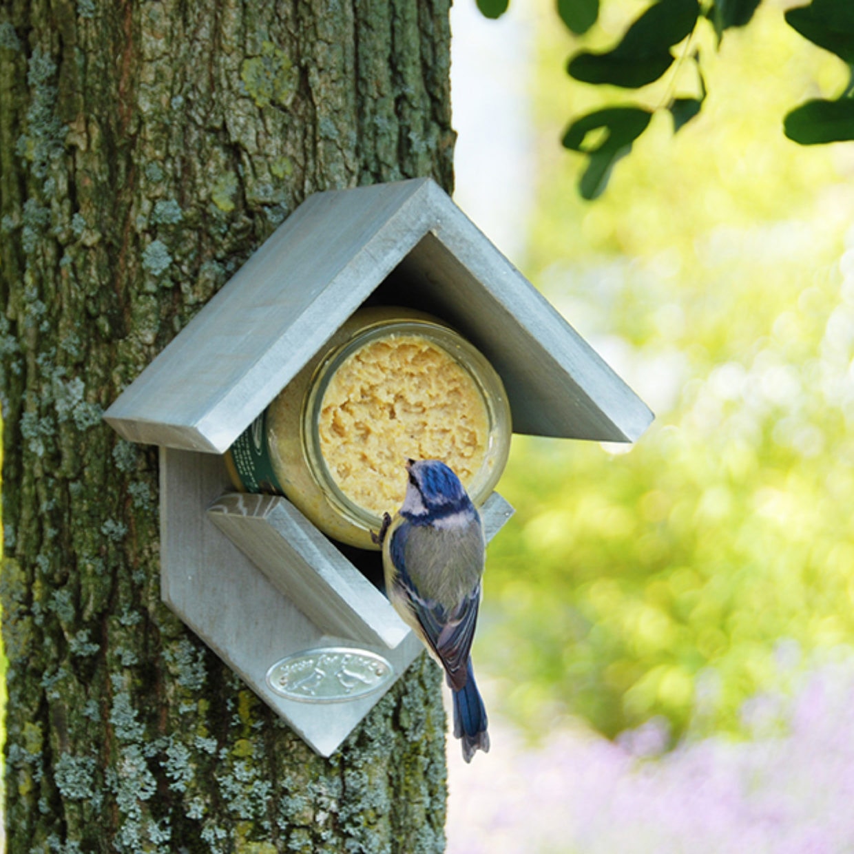 Pindakaaspothouder met vogelpindakaas - trek vogels zoals mezen en spechten aan in je tuin met dit houten voerpakket.