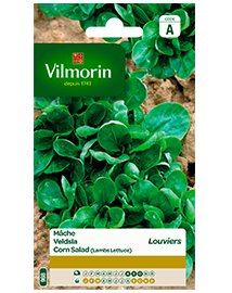 Vilmorin Veldsla zaden Groene van Louviers 3g