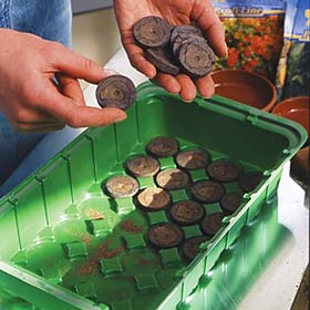 Handen die turftabletten in een groene kweekbak plaatsen, met een zakje Floraworld Turftabletten op de achtergrond.