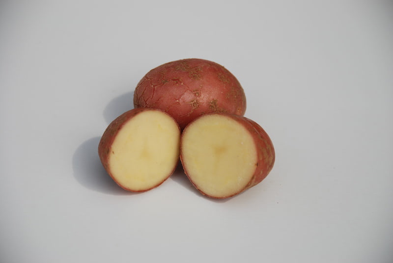 Pootaardappelen Desiree 2,5 kg