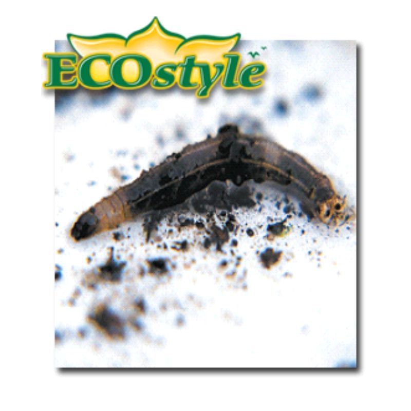 Doosje met Ecostyle nematoden (aaltjes) voor biologische bestrijding van emelten in het gazon (10m²).