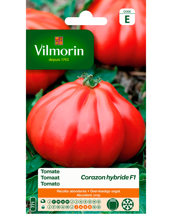 Vilmorin Tomatenzaden Coeur de Boeuf Corazon 0,15g