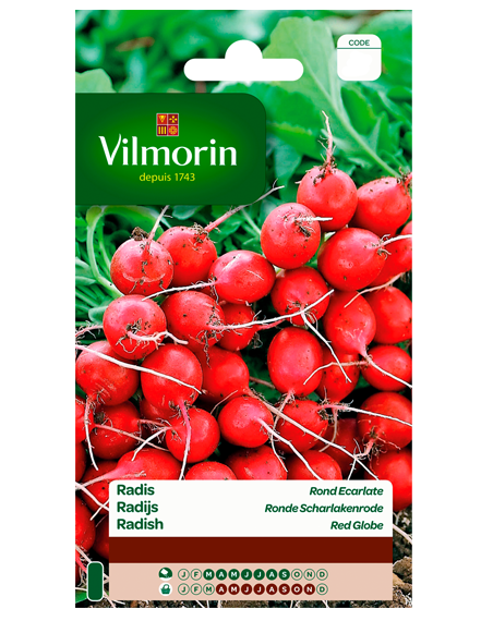 Vilmorin Radijs zaden in grootverpakking Ronde Scharlakenrode 30g