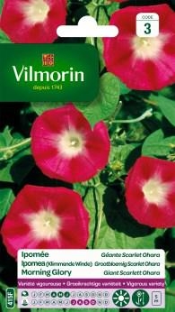 Vilmorin bloemzaden Ipomea Scarlet Ohara