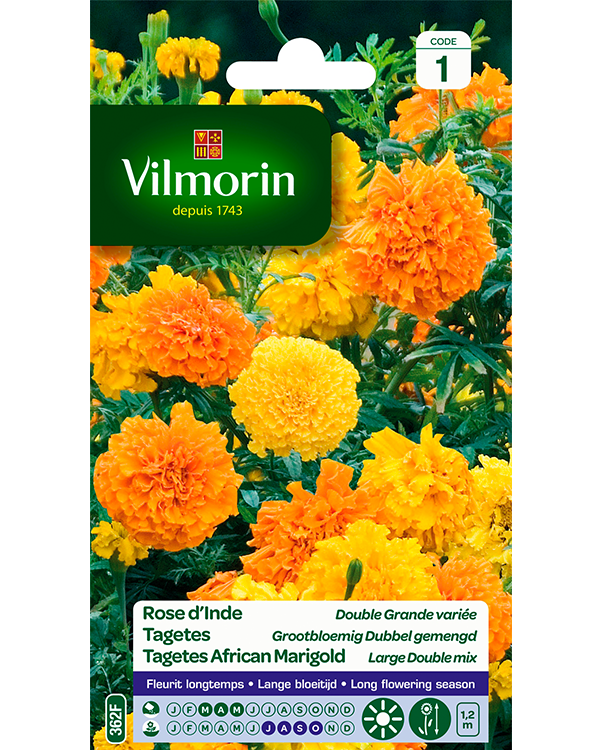 Bloemzaden Tagetes Grootbloemig Dubbel gemengd 1g